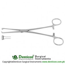 Thoms-Allis Intestinal and Tissue Grasping Forceps 6 x 7 Teeth Stainless Steel, 20.5 cm - 8"